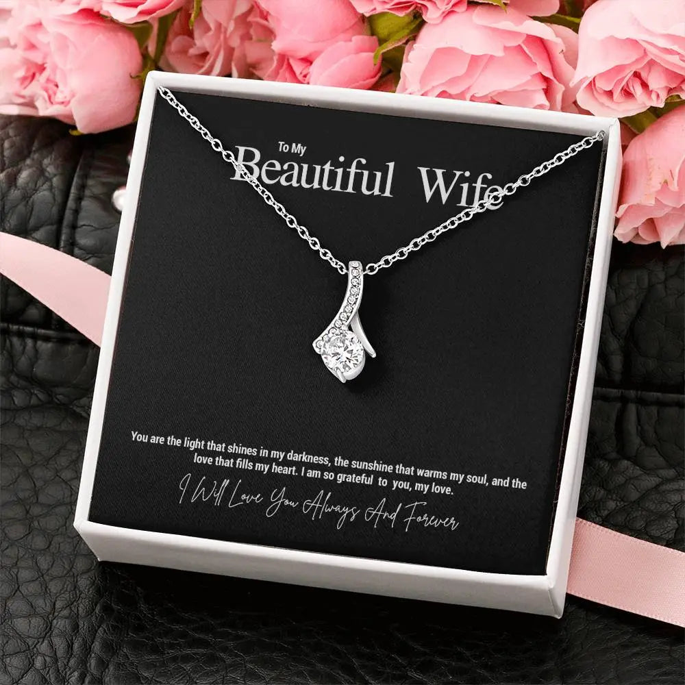 To My Beautiful Wife...You are the light that shines in my darkness, the sunshine that warms my soul, and the love that fills my heart. I am so grateful to you, my love. ShineOn Fulfillment