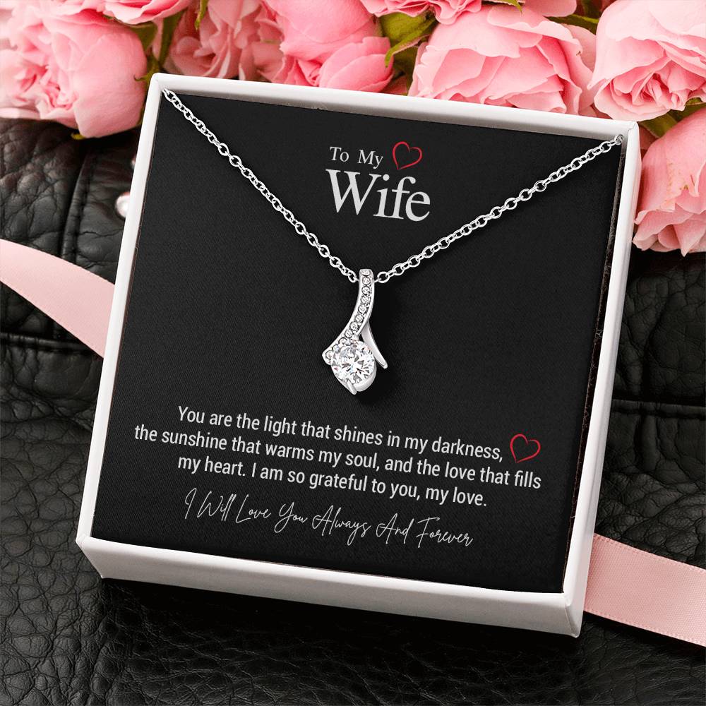 To My Wife..You are the light that shines in my darkness, the sunshine that warms my soul, and the love that fills my heart. I am so grateful to you, my love. ShineOn Fulfillment