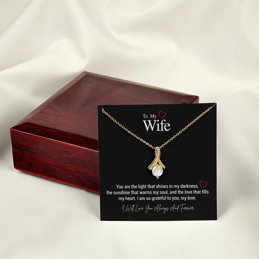 To My Wife..You are the light that shines in my darkness, the sunshine that warms my soul, and the love that fills my heart. I am so grateful to you, my love. ShineOn Fulfillment