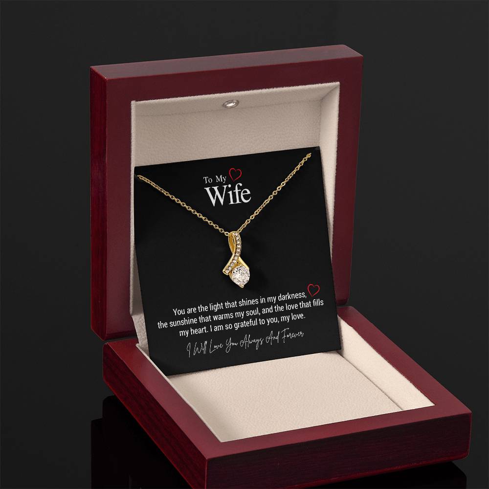 To My Wife..You are the light that shines in my darkness, the sunshine that warms my soul, and the love that fills my heart. I am so grateful to you, my love. ShineOn Fulfillment