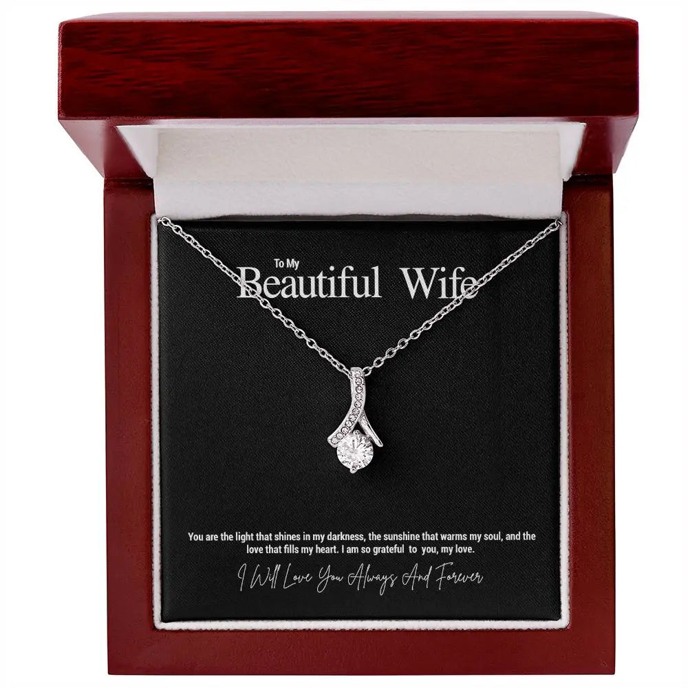 To My Beautiful Wife...You are the light that shines in my darkness, the sunshine that warms my soul, and the love that fills my heart. I am so grateful to you, my love. ShineOn Fulfillment
