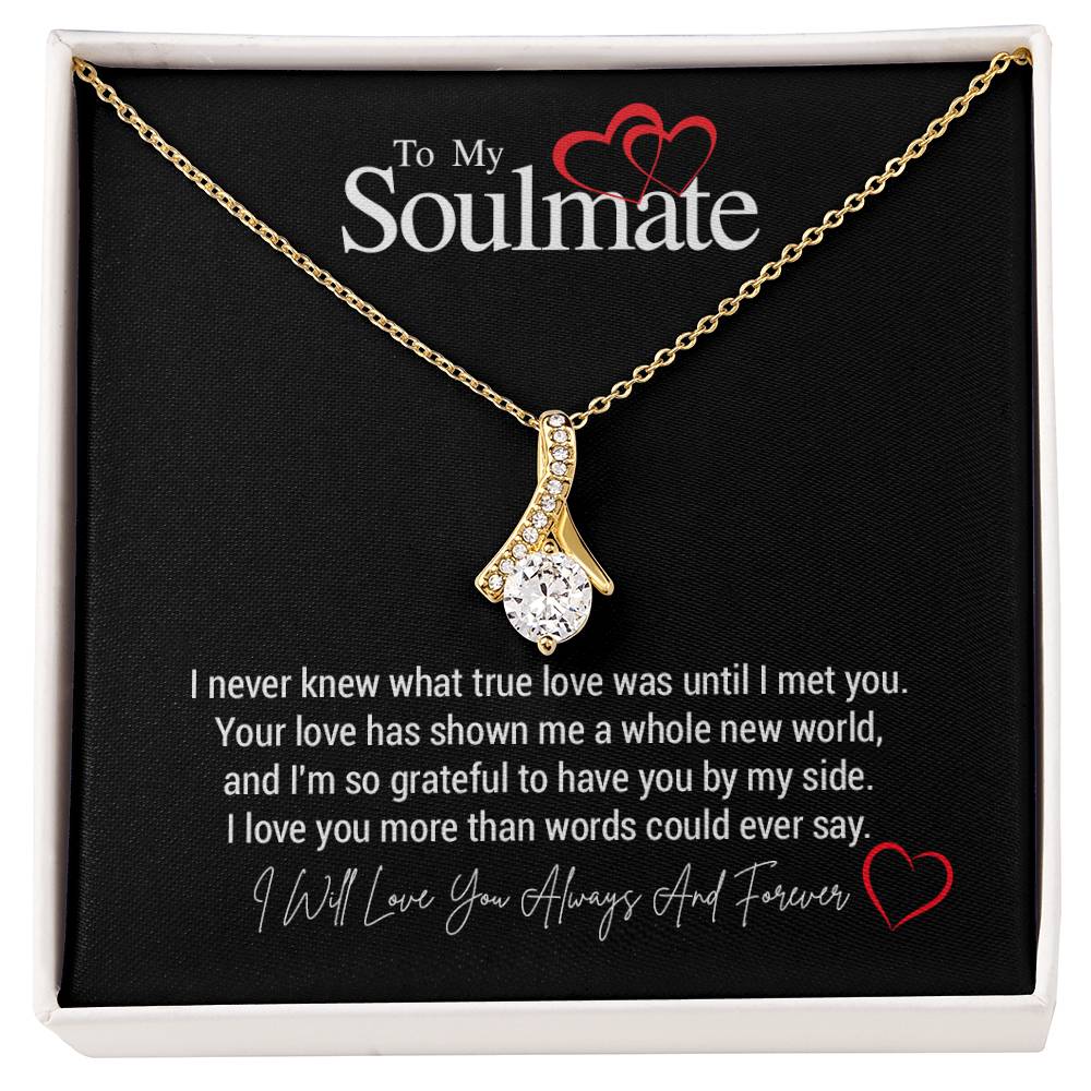 To My Soulmate...I never knew what true love was until I met you. Your love has shown me a whole new world, and I'm so grateful to have you by my side. I love you more than words could ever say.