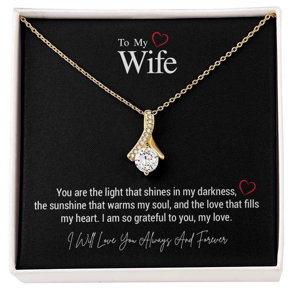 To My Wife..You are the light that shines in my darkness, the sunshine that warms my soul, and the love that fills my heart. I am so grateful to you, my love.