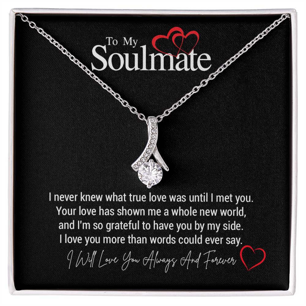 To My Soulmate...I never knew what true love was until I met you. Your love has shown me a whole new world, and I'm so grateful to have you by my side. I love you more than words could ever say.