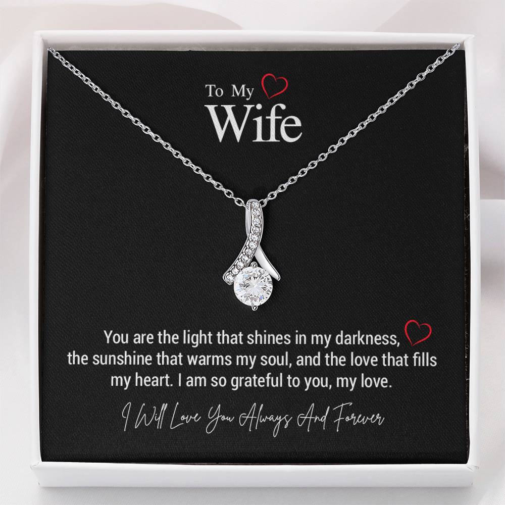 To My Wife..You are the light that shines in my darkness, the sunshine that warms my soul, and the love that fills my heart. I am so grateful to you, my love.