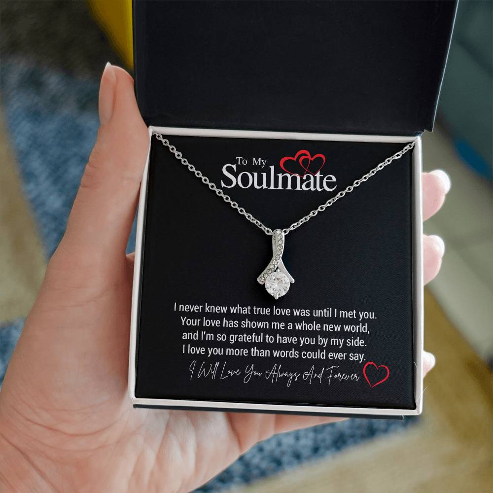 To My Soulmate...I never knew what true love was until I met you. Your love has shown me a whole new world, and I'm so grateful to have you by my side. I love you more than words could ever say.